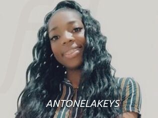 ANTONELAKEYS