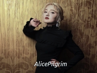 AlicePilgrim Fan Domination