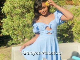 AminyanMacaron