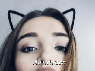An_Harrison