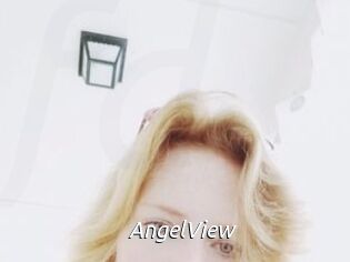 AngelView