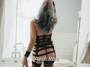 Avah_Rose
