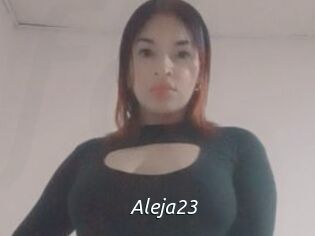 Aleja23