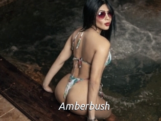 amberbush Fan Domination