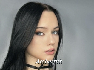 amberfish Fan Domination