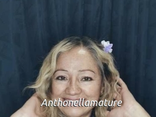 Anthonellamature