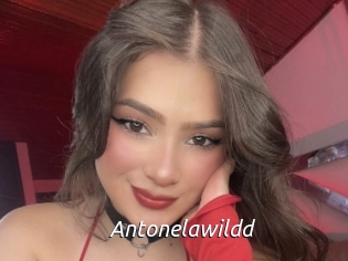 Antonelawildd