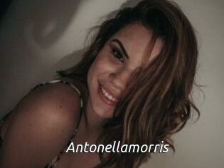 Antonellamorris