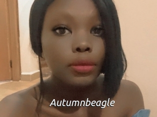 Autumnbeagle