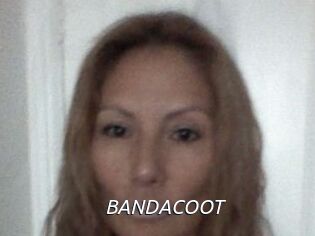 BANDACOOT