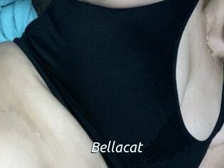 Bella_cat