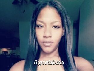 Bigcatstaxx