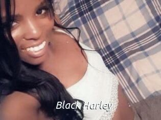 Black_Harley