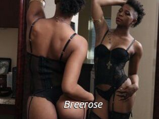 Breerose