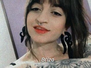 Briza
