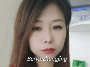 Bericezhangjing