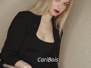 CariBois