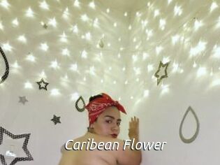 Caribean_Flower