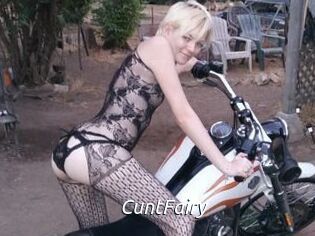 CuntFairy