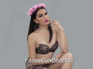 CassieCUMSalot18