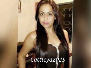 Cattleya2025
