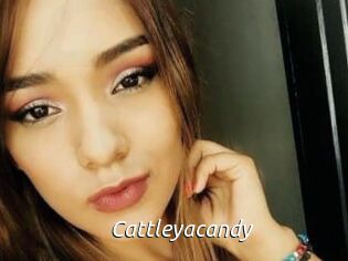 Cattleyacandy