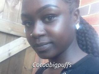 Cocoabigpuffs