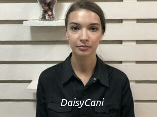 DaisyCani