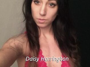Daisy_Harrington