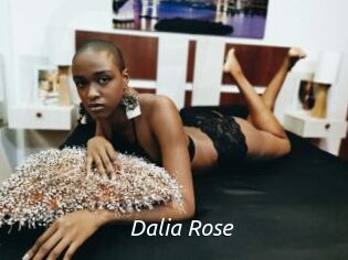 Dalia_Rose