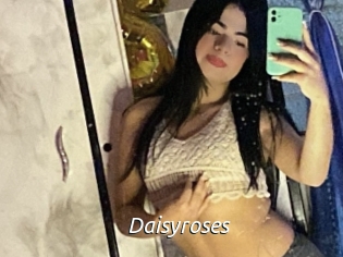 Daisyroses