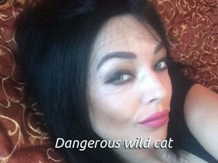 Dangerous_wild_cat