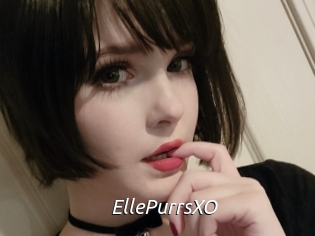 EllePurrsXO