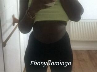 Ebony_flamingo