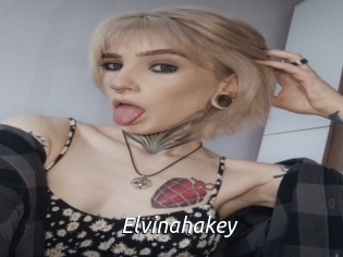 Elvinahakey