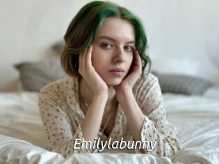 emilylabunny Fan Domination