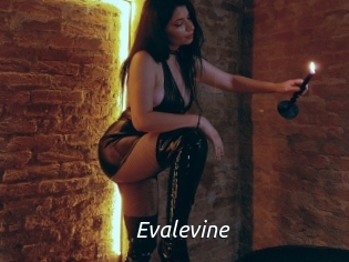 Evalevine