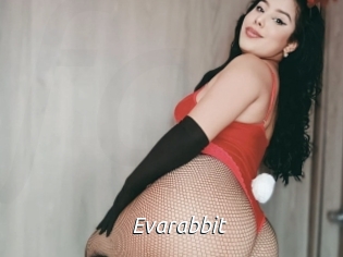 Evarabbit