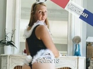 Feline18