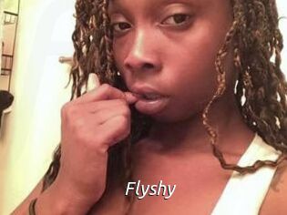 Flyshy