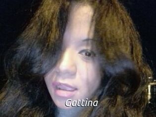 Gattina
