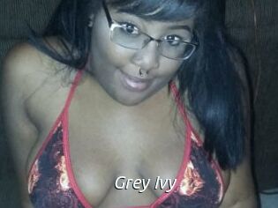 Grey_Ivy