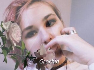 Grothia