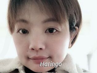 Haringo