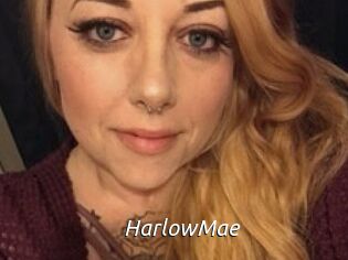 Harlow_Mae