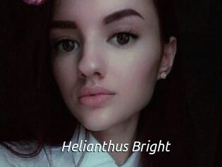 Helianthus_Bright