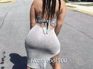 Hornytool500
