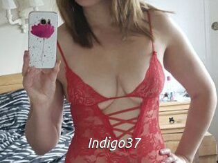 Indigo37