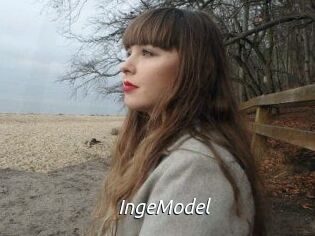 IngeModel