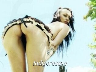 Indigorosexo